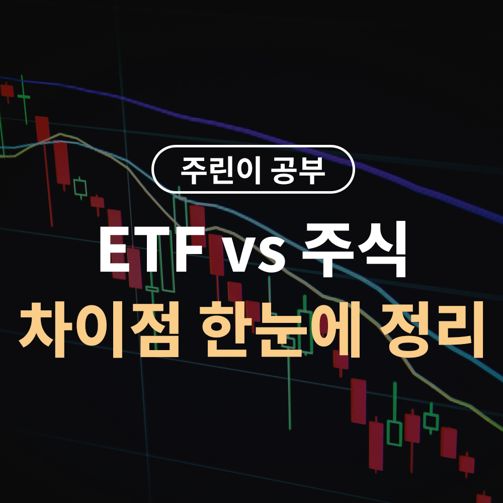 ETF란? 주식과 차이점 한눈에 정리 – 초보자도 쉽게 이해해요