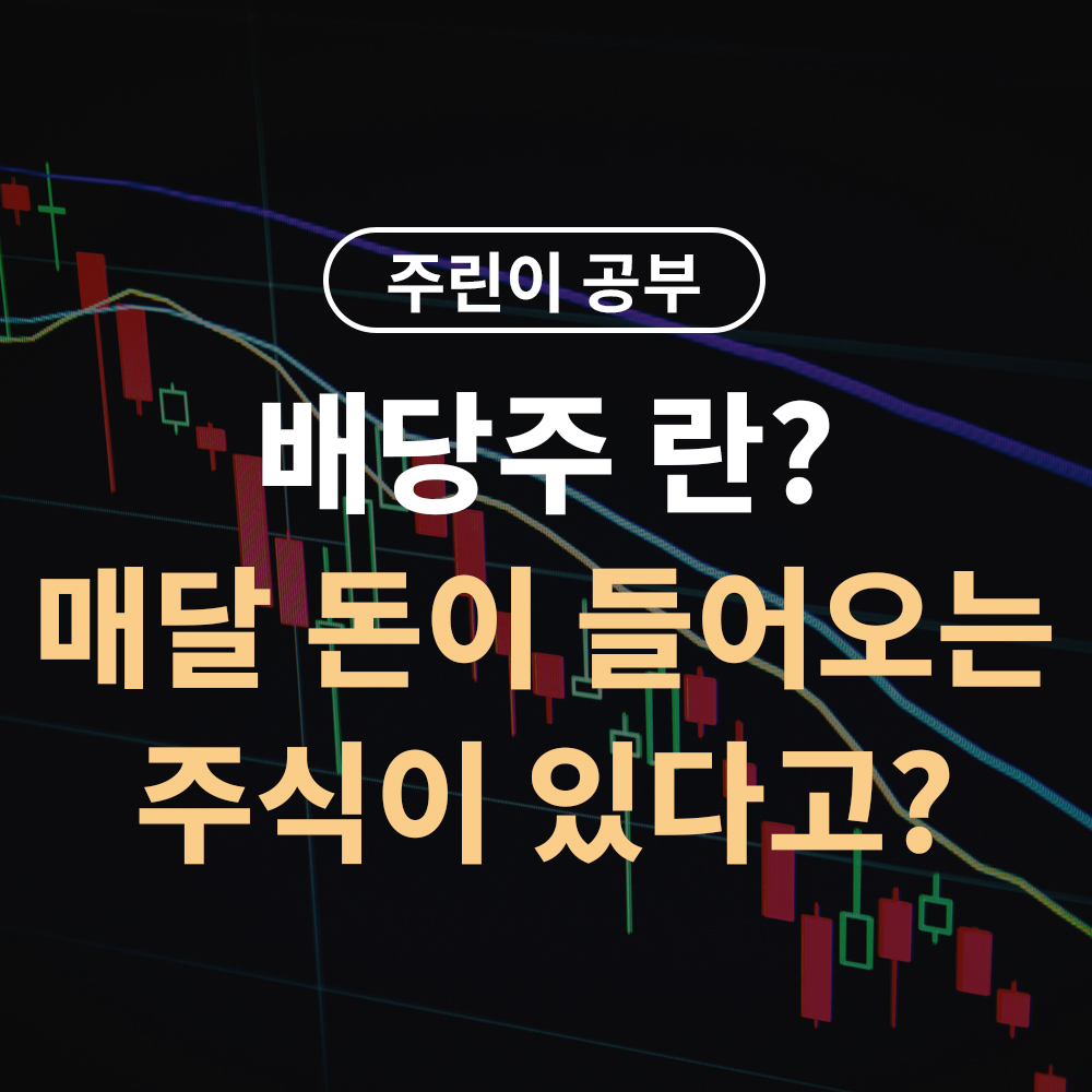 배당주란? 매달 돈 들어오는 주식이 있다고?