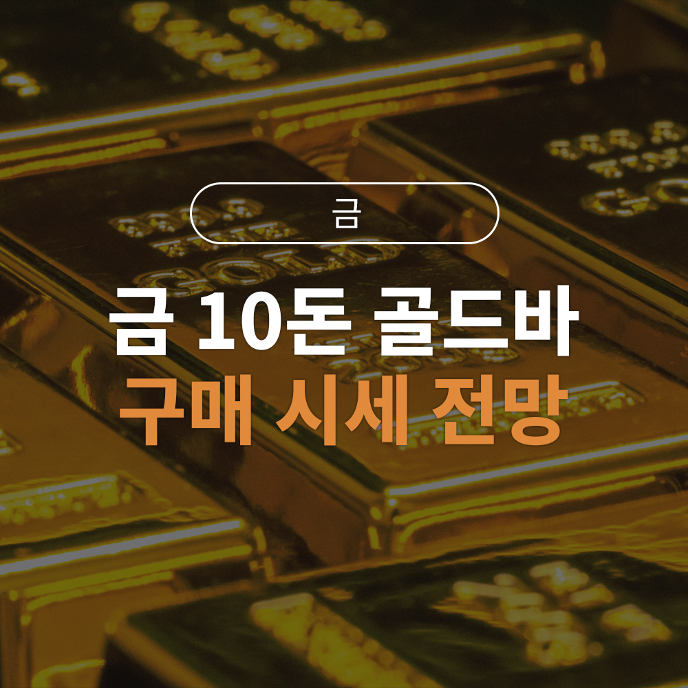 지금 금 사도 될까? 금 10돈 골드바 구매 전 필수 체크리스트